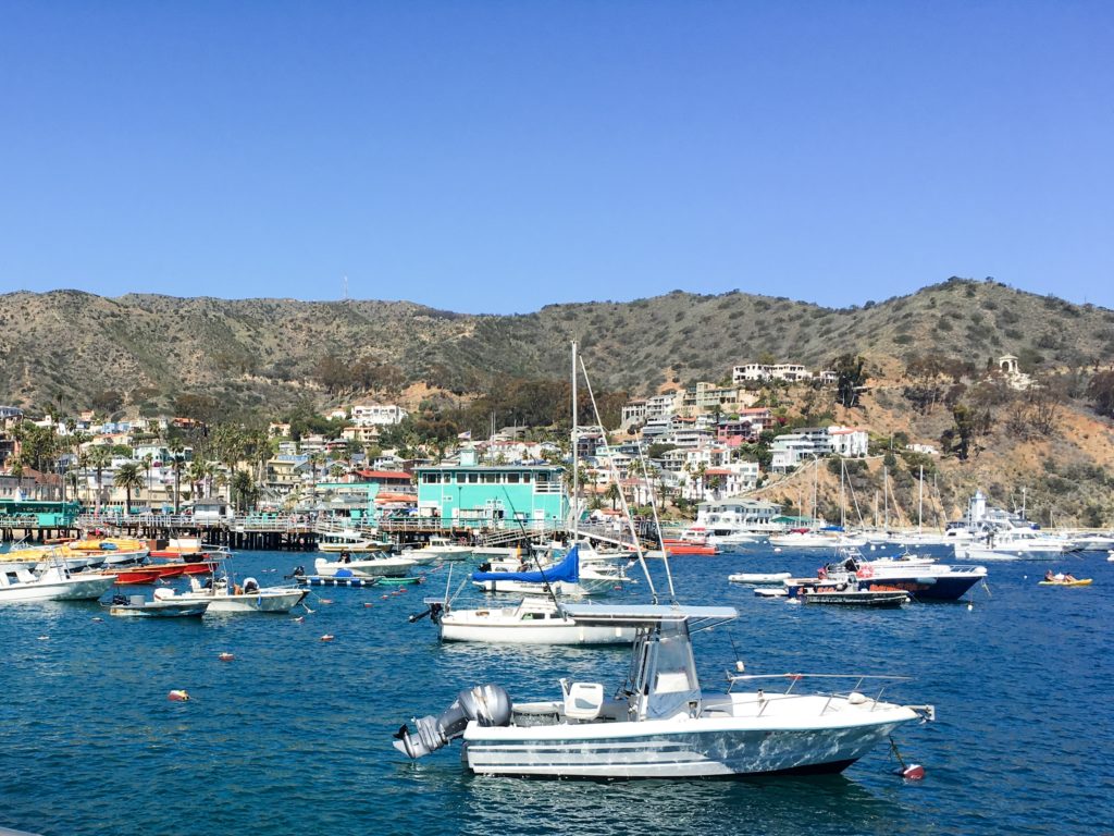 Boats in Avalon Pier