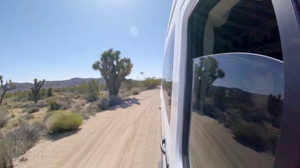 Gidget on theBerdoo Canyon Road